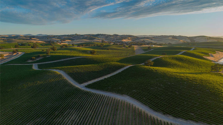 Paso Robles wine region in California, Tapestry Wines